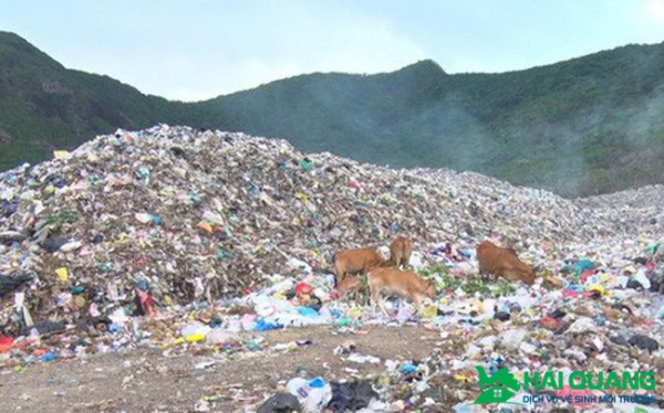 Bà Rịa-Vũng Tàu: Đưa rác thải từ Côn Đảo về đất liền xử lý