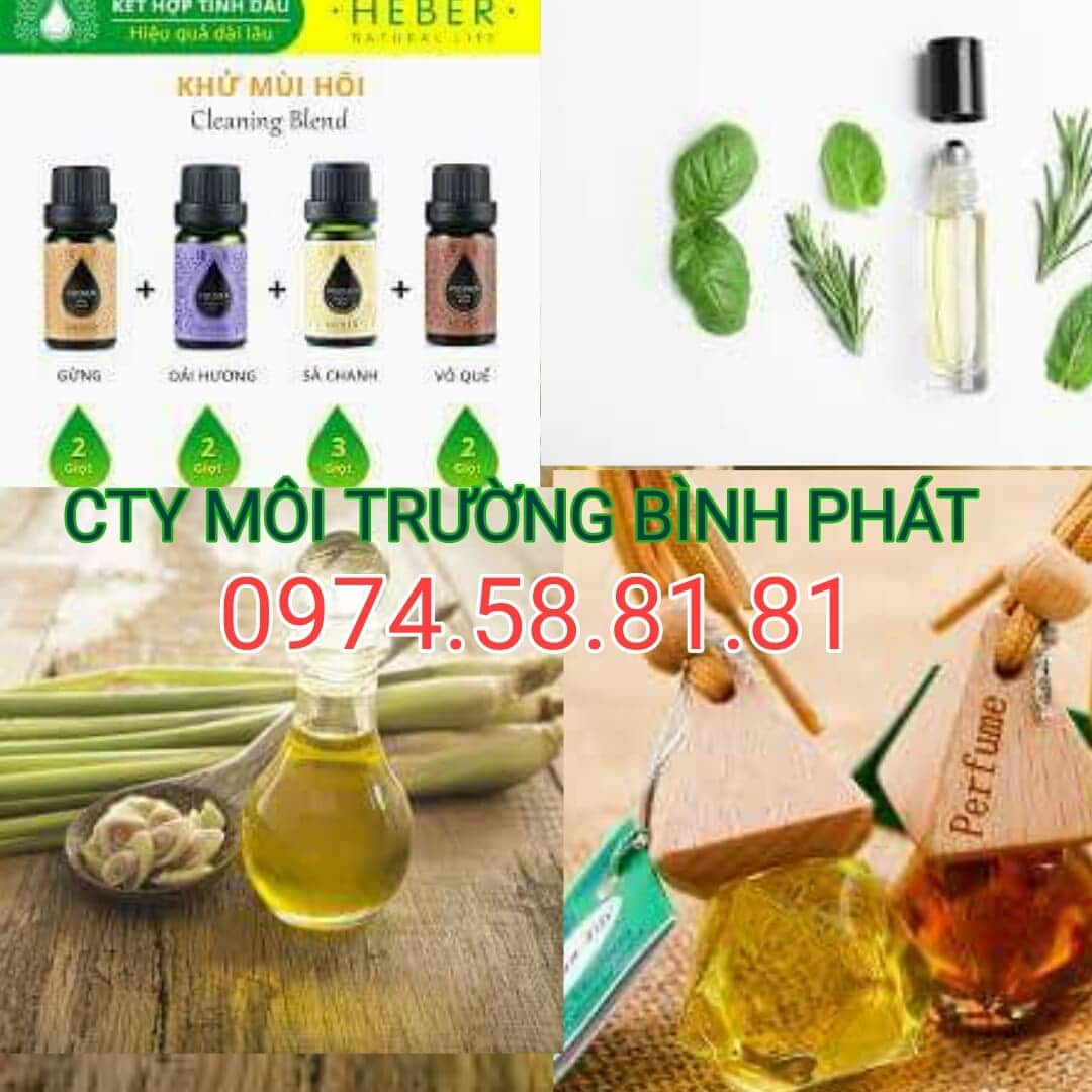 Xử lý mùi hôi bể phốt, nhà vệ sinh bằng nguyên liệu có mùi hương