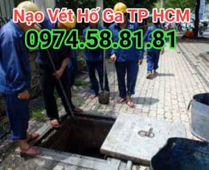 nao-vet-ho-ga-tphcm