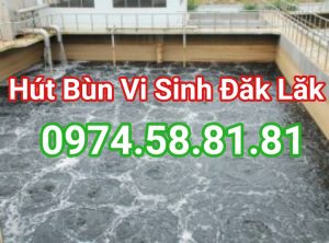 hut-bun-vi-sinh-dak-lak