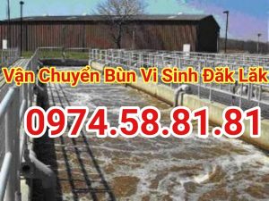 van-chuyen-bun-vi-sinh-dak-lak