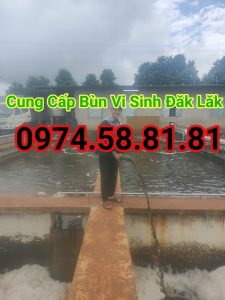 cung-cap-bun-vi-sinh-dak-lak